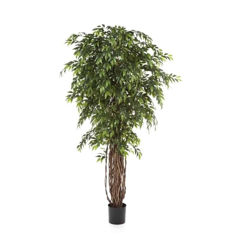 Planta Artificial Ficus Liana Deluxe