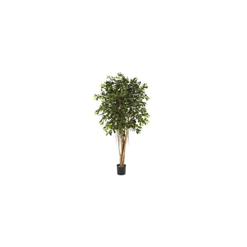 Planta Artificial Ficus Retusa