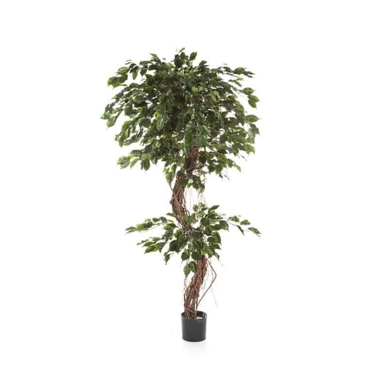 Planta Artificial Ficus Corkscrew Exotica