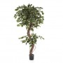 Planta Artificial Ficus Corkscrew Exotica