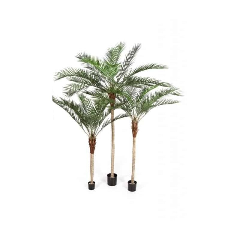 Planta Artificial Palmeira Phoenix