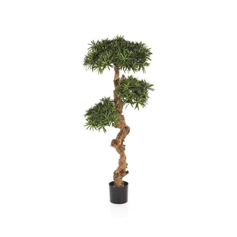 Planta Artificial Podocarpus