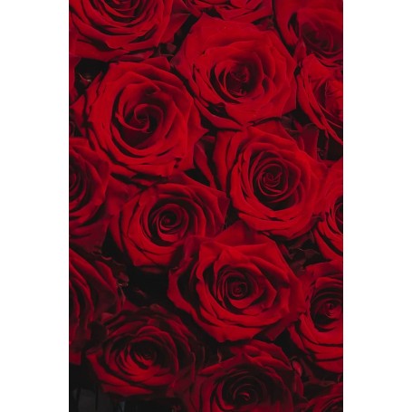 Bouquet de Rosas Vermelhas aveludadas - RED ROSES BOUQUET