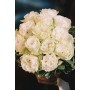 Bouquet de rosas brancas - WHITE ROSES BOUQUET