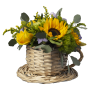 Cesta de Flores - Porto Covo