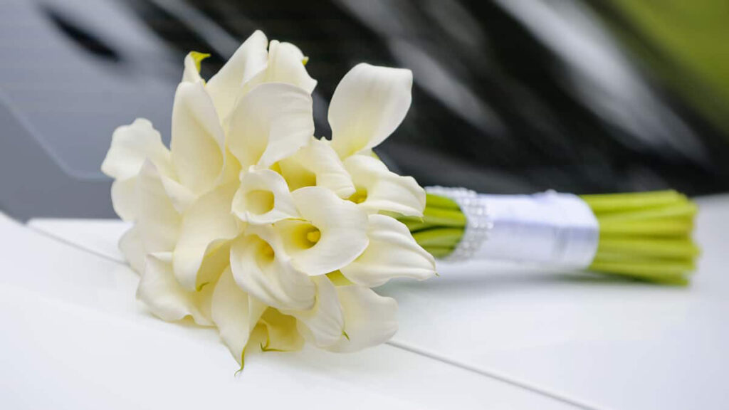 Bouquet noiva braçada